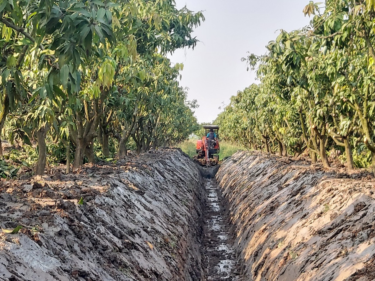 งานวางท่อ ขุดร่อง