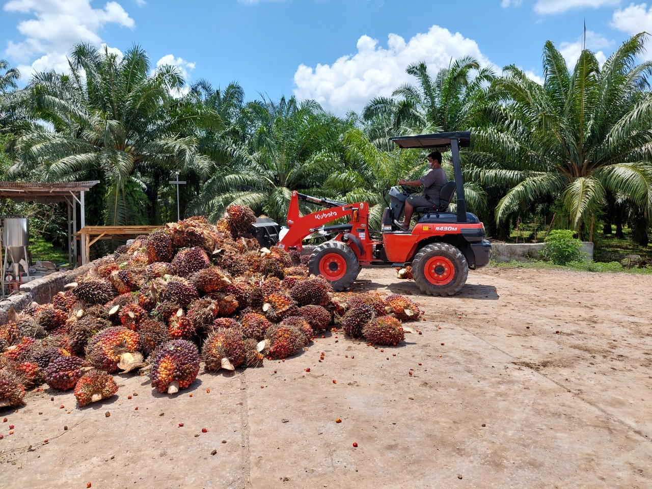 รูปการทำงานสินค้ารถตักล้อยาง