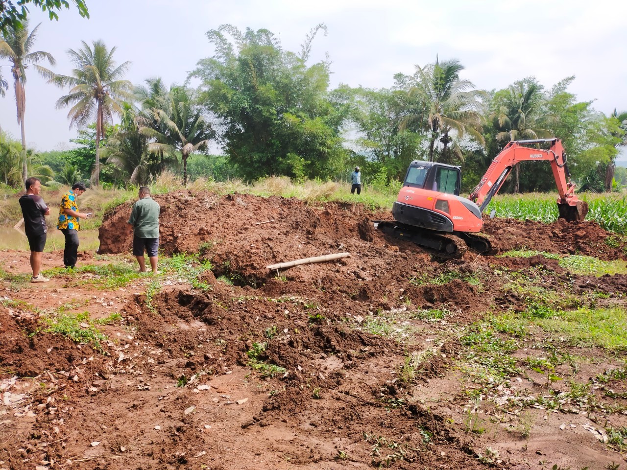 งานปรับพื้นที่