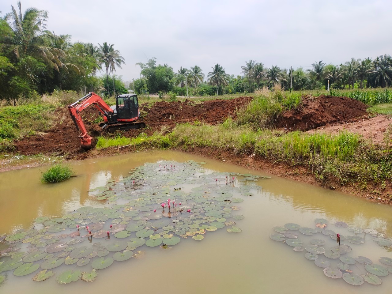 งานแต่งขอบสระ ขุดคลองใส้ไก่ ขุดบ่อขนาดเล็ก