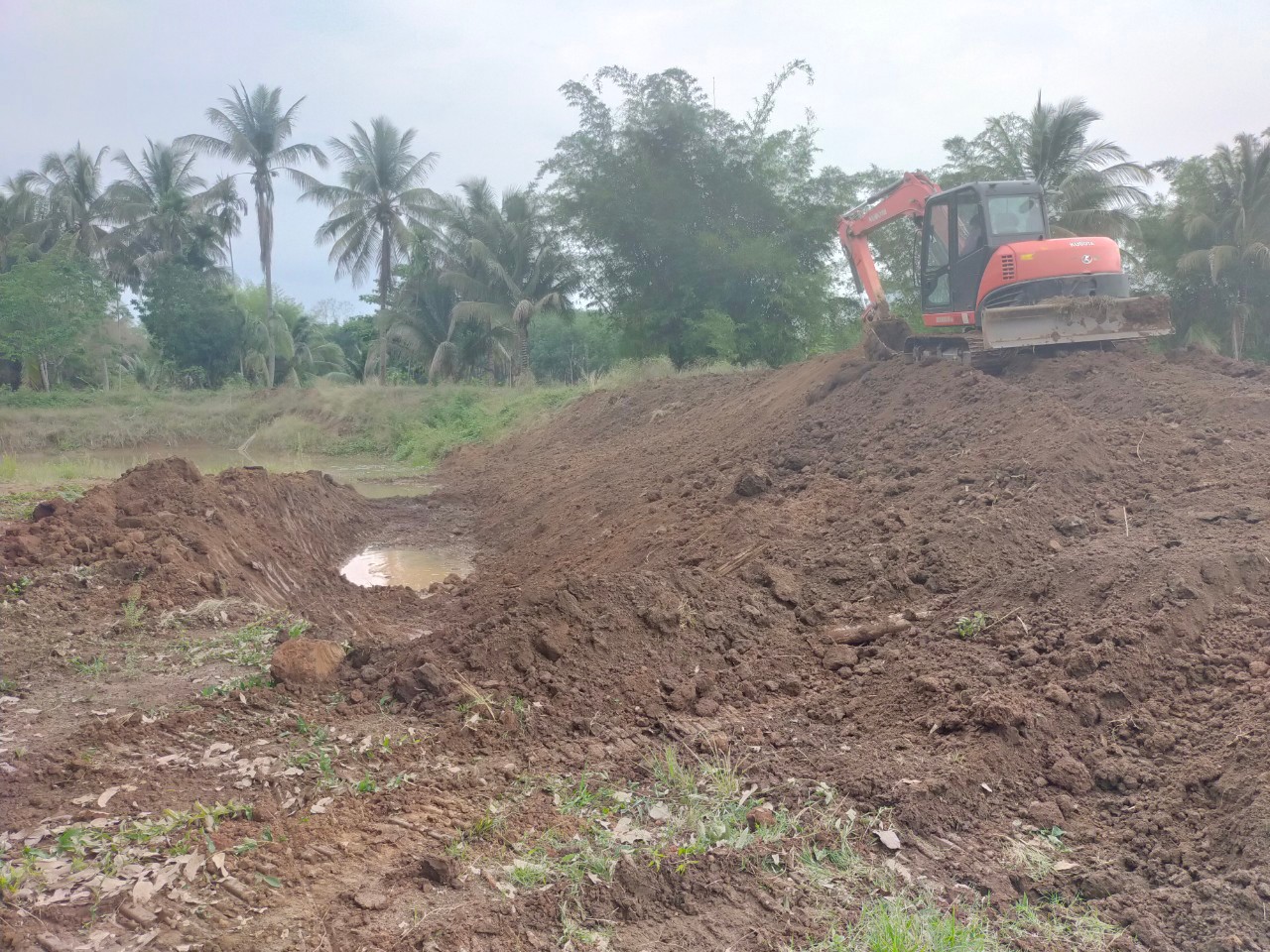 งานแต่งขอบสระ ขุดคลองใส้ไก่ ขุดบ่อขนาดเล็ก