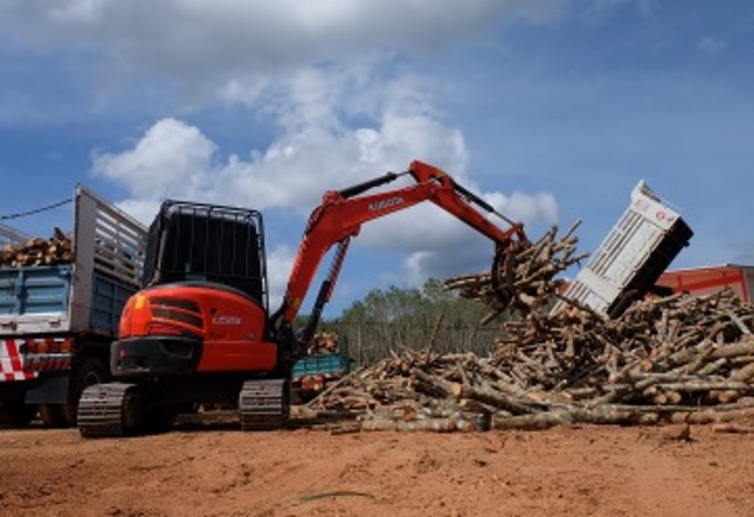 งานเกษตร คีบไม้ยางพารา