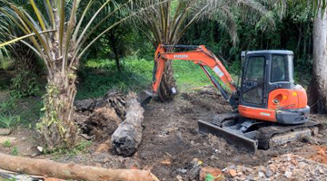 งานเกษตร ปั้นโคกทุเรียน