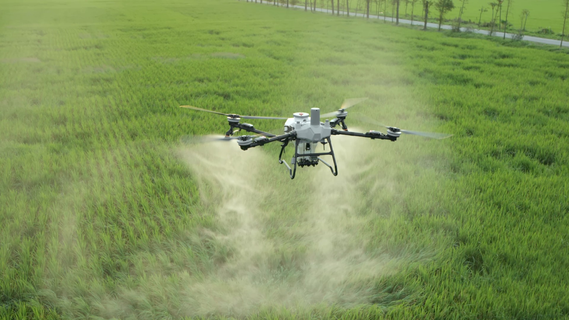 Spraying T55_1